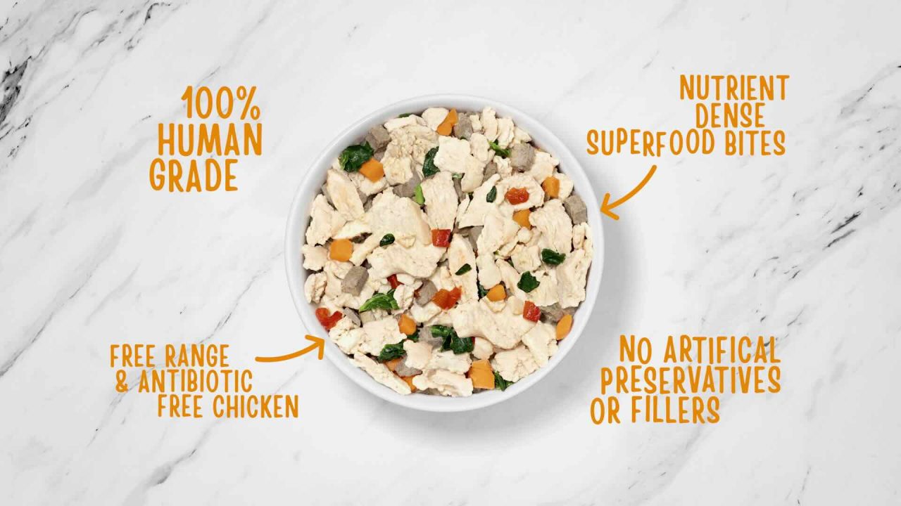 A bowl of pet food labeled "100% Human Grade," "Nutrient Dense Superfood Bites," "Free Range & Antibiotic-Free Chicken," and "No Artificial Preservatives or Fillers" sits elegantly on a marble background, perfect for an innovative television commercial.