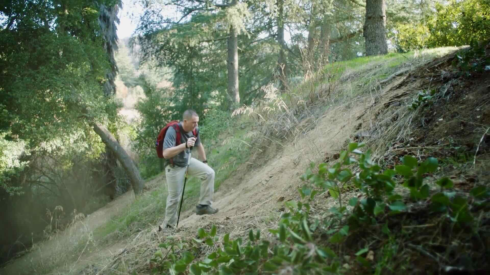 A person with a red backpack and hiking poles climbs a steep, grassy hill in a wooded area, embodying the spirit of adventure that drives B2C marketing strategies.